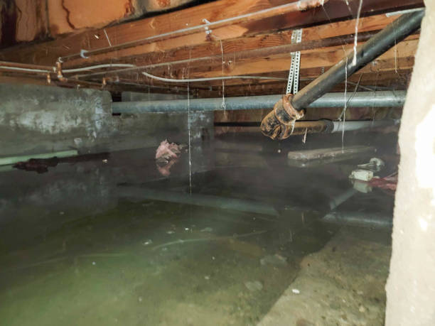 Best Water damage restoration near me  in Bort, GA