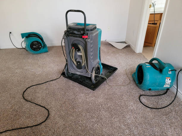 Best Flooded house restoration  in Bort, GA