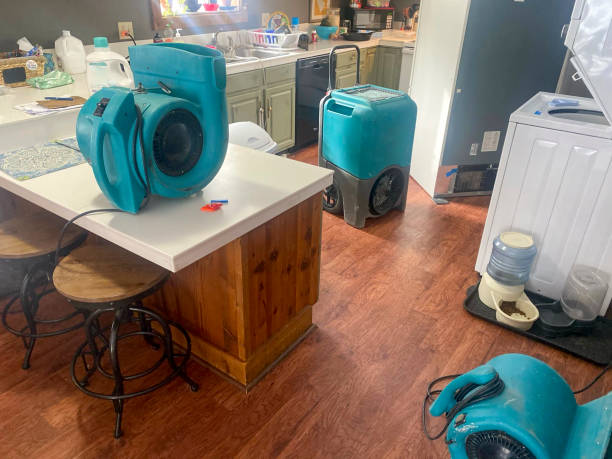 Best Carpet water damage restoration  in Bort, GA