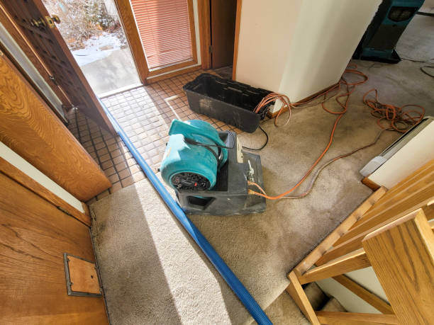 Best Fire Damage Restoration  in Bort, GA