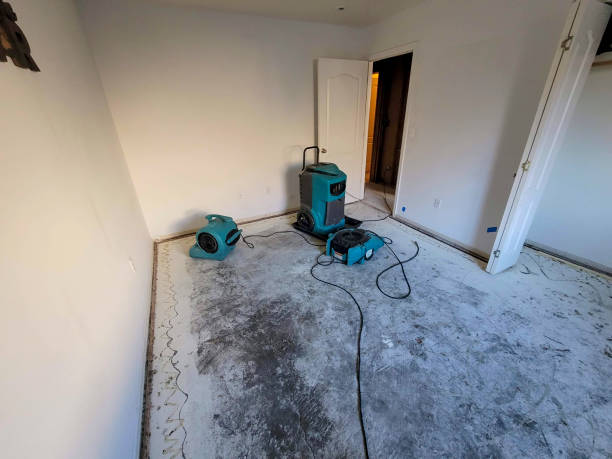 Best Commercial water damage restoration  in Bort, GA