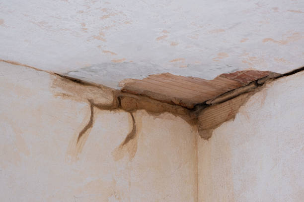 Best Water damage cleanup near me  in Bort, GA