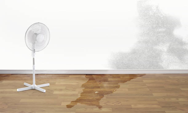 Best 24/7 water damage repair  in Bort, GA
