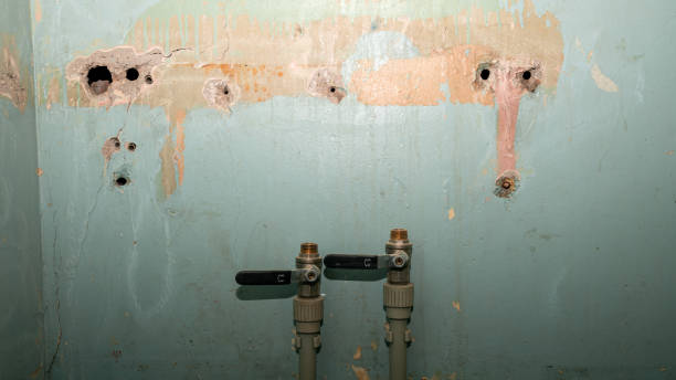 Best Emergency water damage restoration  in Bort, GA