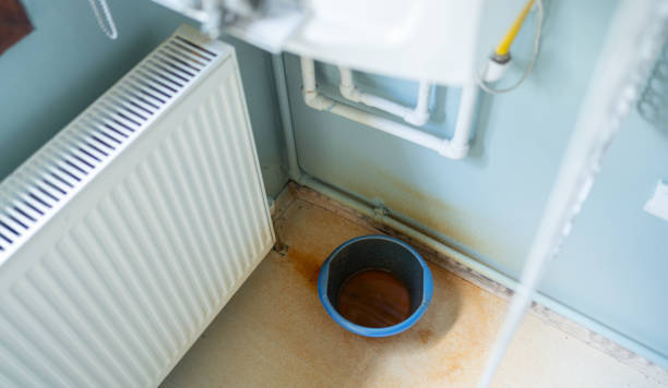 Best Flood restoration services  in Bort, GA