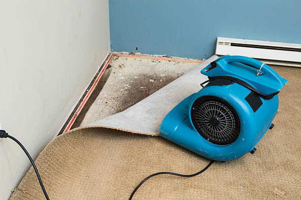 Best Flood damage cleanup  in Bort, GA
